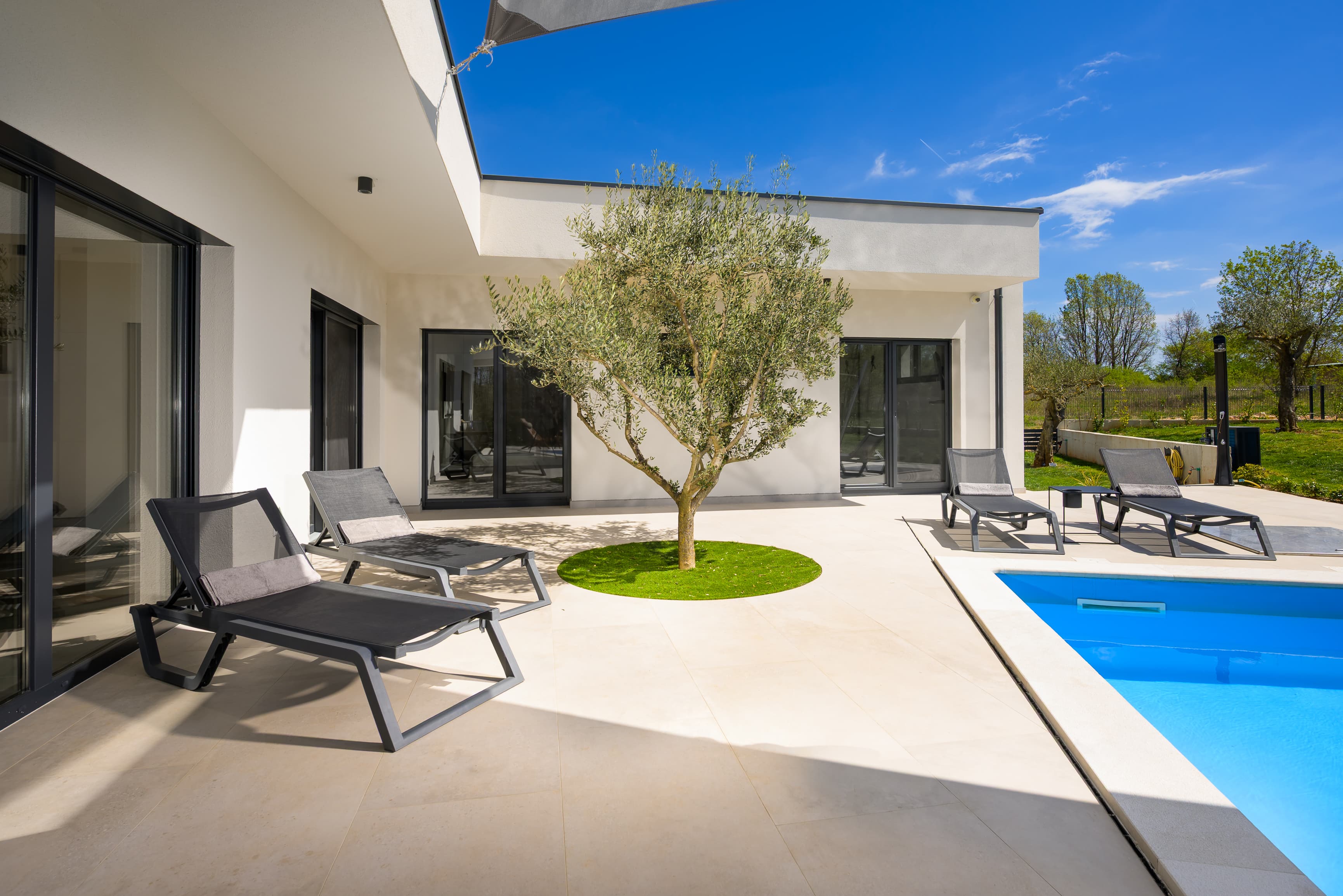Olive courtyard beside the pool